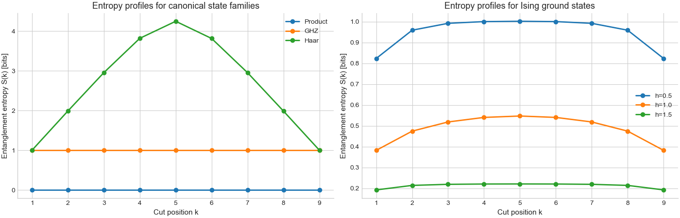 Entanglement entropy profile across state families